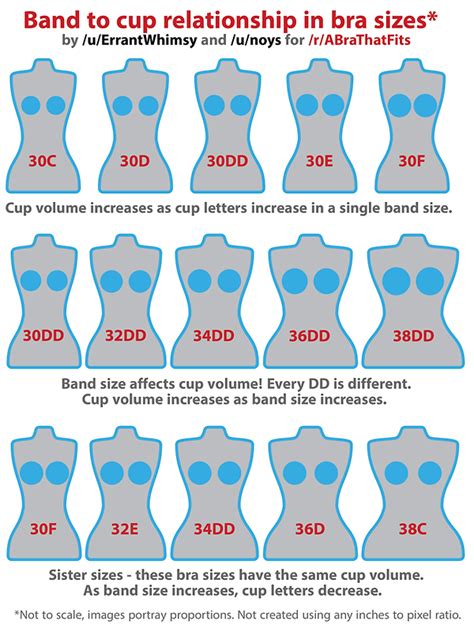 cleavage h|what is cleavage in breasts.